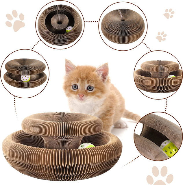 Magic Organ Cat Stretching Board