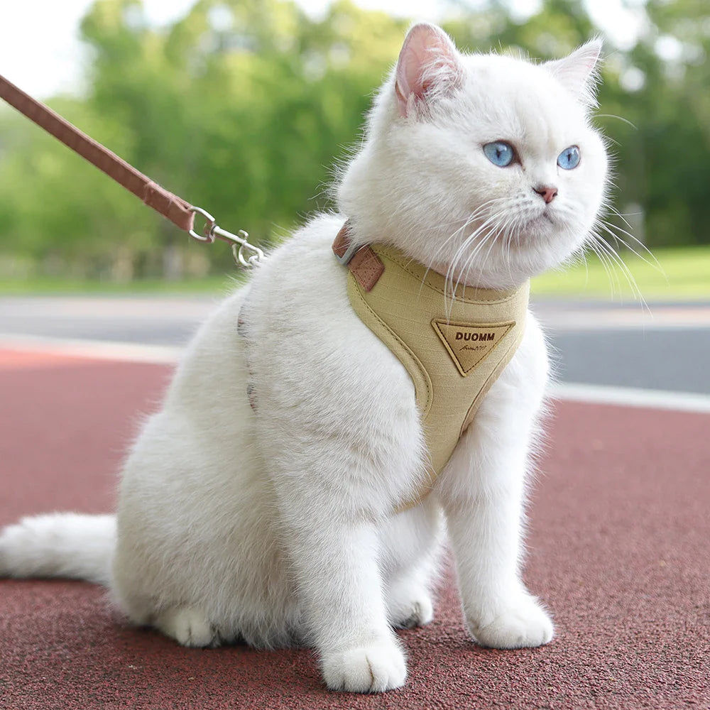 Pet Harness