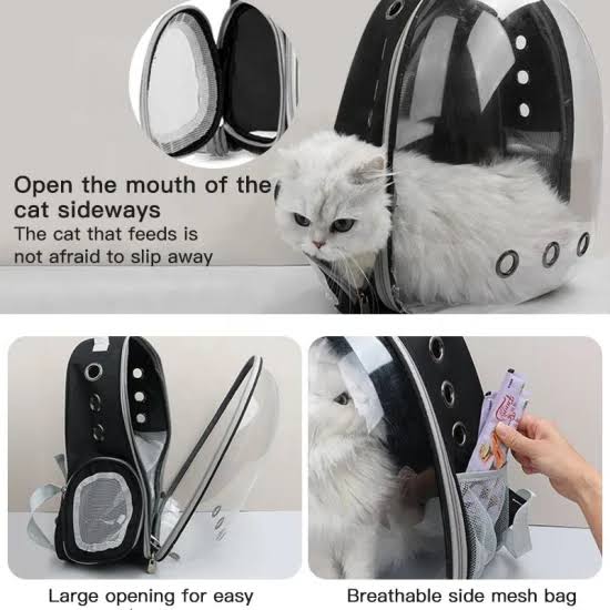 Portable Capsule Transparent Cat Backpack