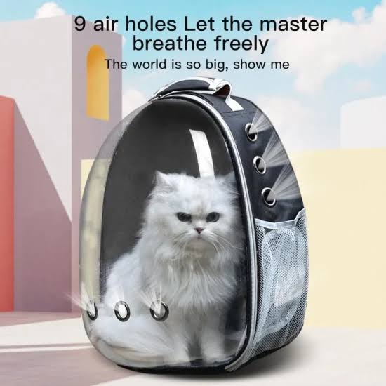 Portable Capsule Transparent Cat Backpack